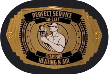 big perfect service belt buckle only
