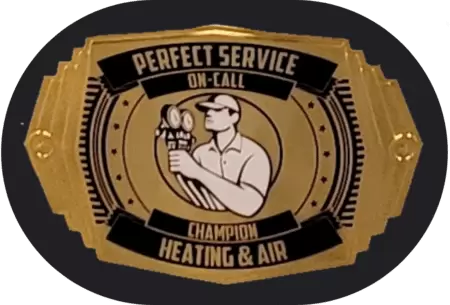 big perfect service belt buckle only