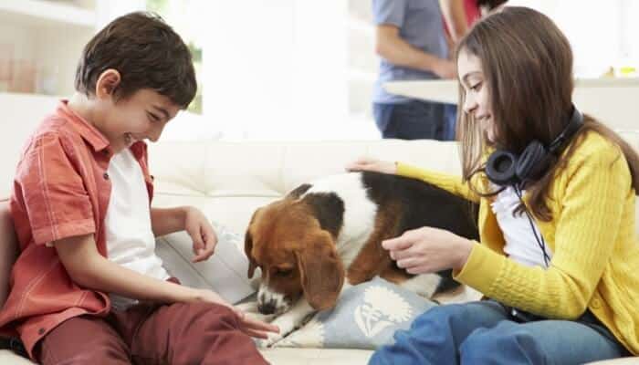 children playing with dog on sofa