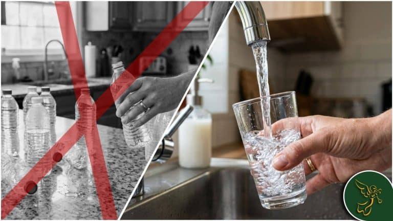 plastic water vs filtered water graphic